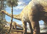 150 millió éves, valószínûleg új szauropoda fajt találtak 