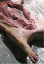 Március óta 100 tonna illegális hús az országban