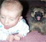 A babák és a kutyák közös nyelve?!