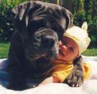 A kutya is tud ölelni kisbabát!