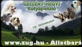Gellért-hegyi Kutyapanzió