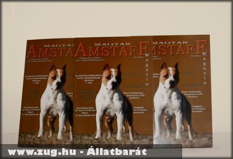 Megjelent a Magyar Amstaff Magazin