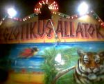 Cirkusz: állatkínzás a sörfesztiválon