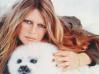 Brigitte Bardot magyar kiskutyák védelmében