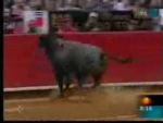 Dühöngõ bika Mexikóban - a bika visszaüt!