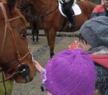 A Dugonics térre lovasok érkeztek - lóháton az állatok védelméért