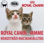Royal Canin Nemzetközi Macskakiállítás Budapesten  