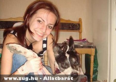 Állatkínzás a neten - otthon boncolja a kutyákat az orvostan hallgató (durva képek, csak felnõtteknek!)