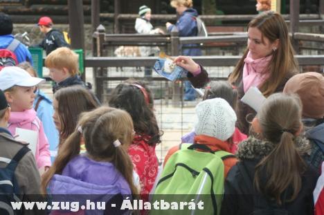 Állatünnep 2010 az Állatkertben - videóval, képekkel