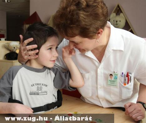 Ölében egy mentett kutyával ütötte el Lacikát egy autó