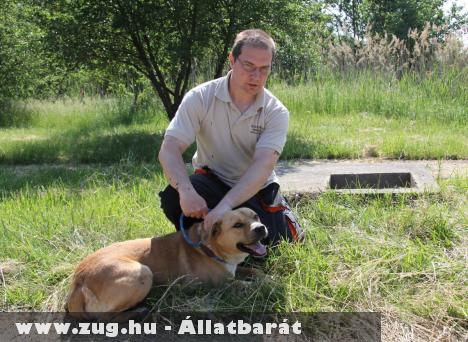 Kutya esett a vízaknába...