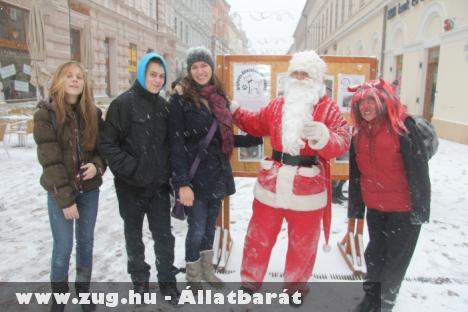 Kutyakarácsony 2012