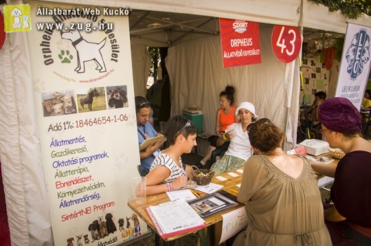 Állatvédők a Sziget 2013 Fesztiválon