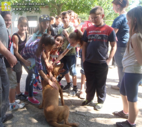 Az állatvédelmi központtal ismerkedtek a gyerekek