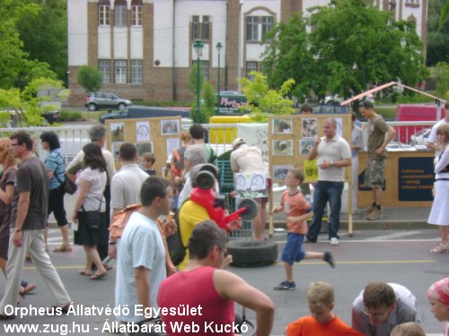 Hídi vásár állatvédelemmel, gazdikeresõvel (a képekért klikk!)!