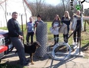 Kutyajátszótér épül az Orpheus Állatvédelmi Központban