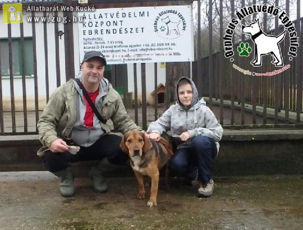 Állatbarátok Szja 1% felajánlásának is köszönhetően Andro szerető Gazdihoz került