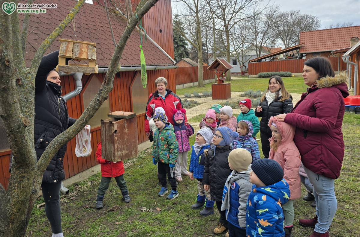 Madáretető iskola az állatvédőkkel