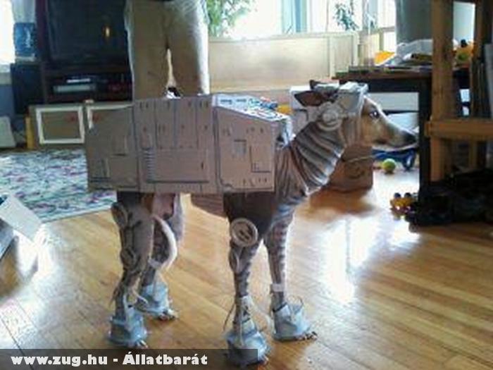 Star Wars Dog