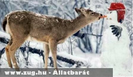 Éhes bambi