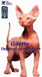 Gilette cicus