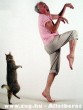 Hogyan tanítsuk meg a macskát járni:)