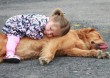 Gyermek-kutya barátság