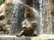 Zuhanyzó elefánt