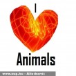 I love animals 1.