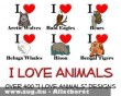 I love animals 2.