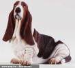 Basset hound