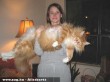 A világ legnagyobb macskája :)