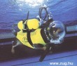 Könnyûbúvár kutya az óceán mélyén