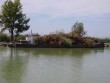 Balaton