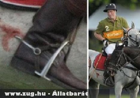 Harry herceg az állatkínzó?
