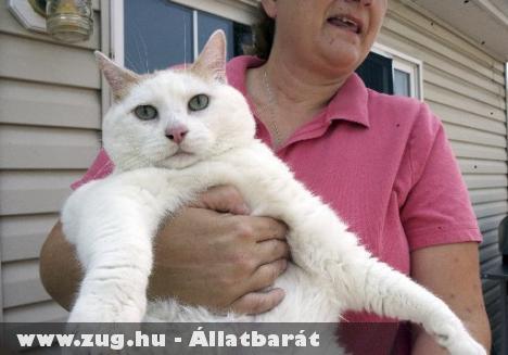 Elpusztult Prince Chunk