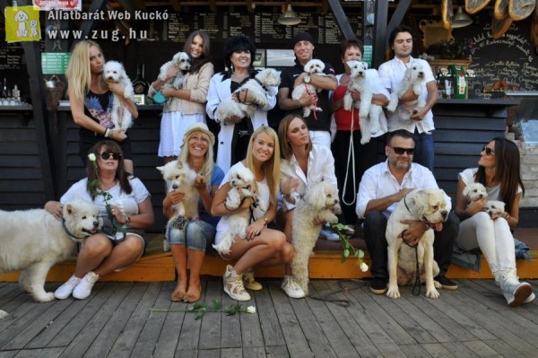 Megrendezésre került az első White Dog Party Magyarországon