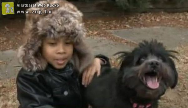 Kutyája mentette meg a fagyhaláltól az eltévedt 7 éves kisfiút