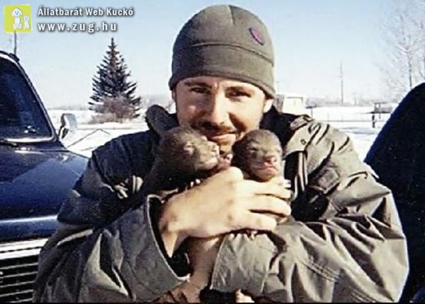 Két medvebocsot talált, megmentette őket