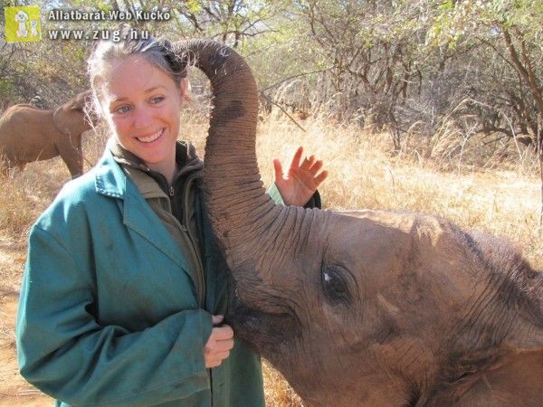 Pótmamájukként szeretik az elefántbébik az őket megmentő lányt