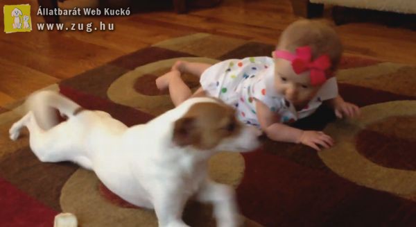 Nagyon aranyos: a kutyus akarta megtanítani kúszni a kisbabát