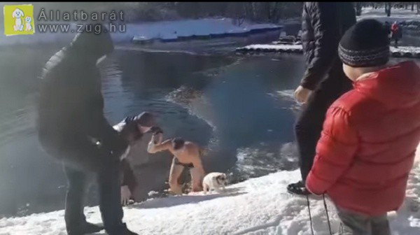 Befagyott tóba ugrott a férfi, hogy megmentsen egy kutyát