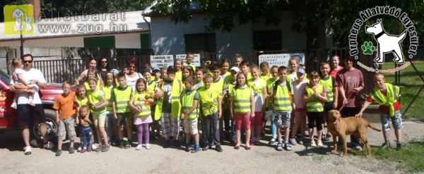 Orpheus Önkéntes Közösség, EFOP-1.3.5-16-2016-00056