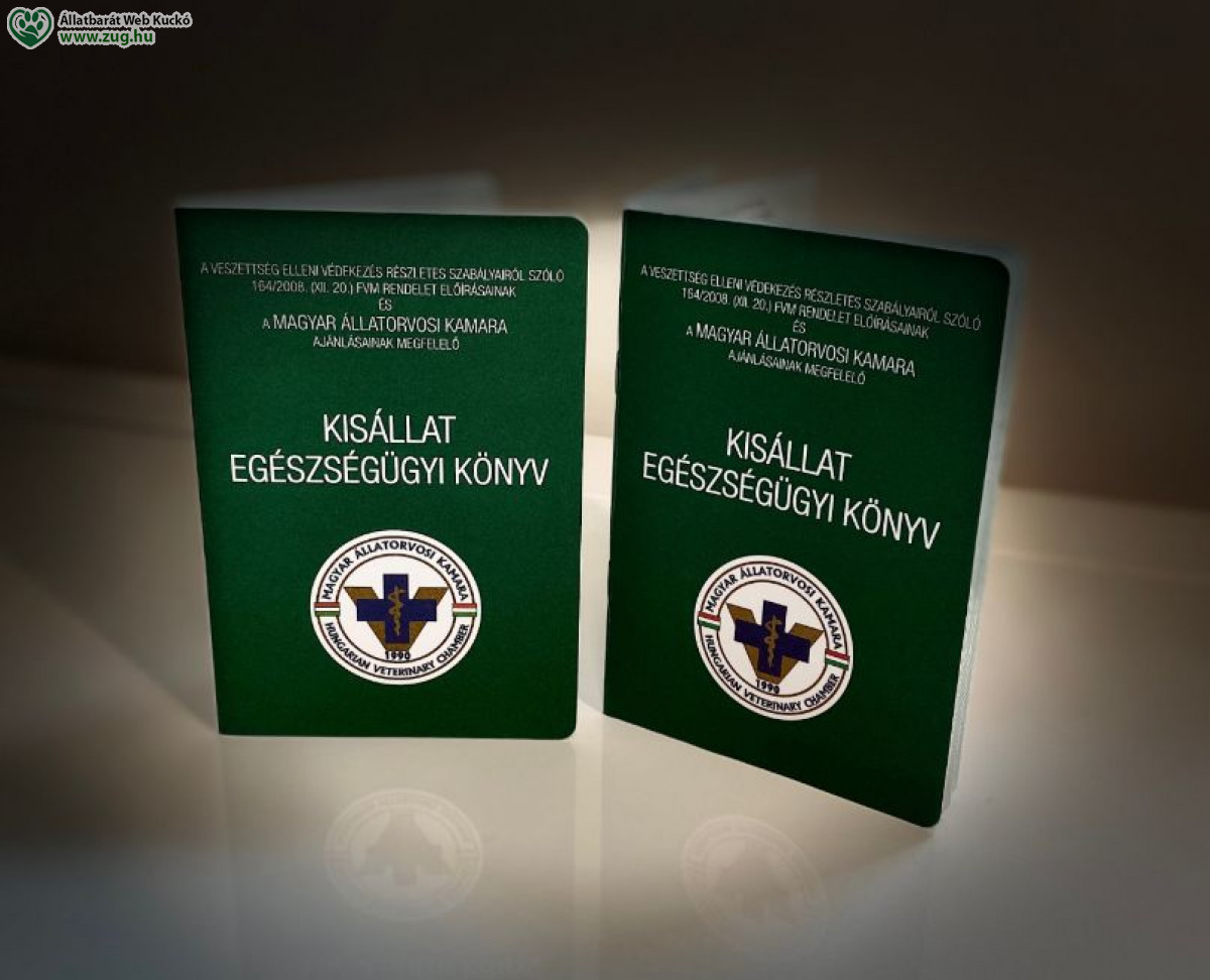 Miért elengedhetetlen a nyulak védőoltása?