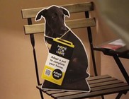 Ikea az állatok megmentéséért