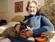 Az idősek otthonába is követte gazdiját a cicus