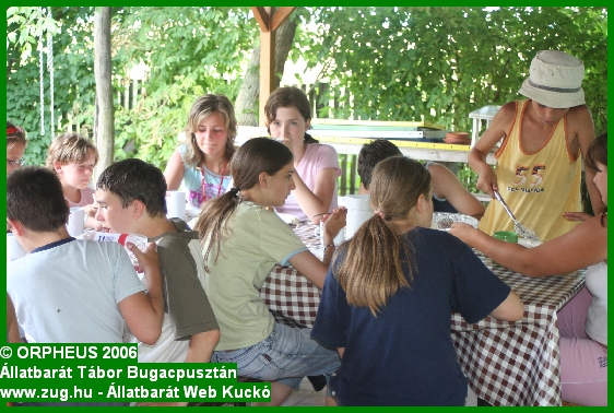 tabor-2006-orpheus-bugac-005.jpg