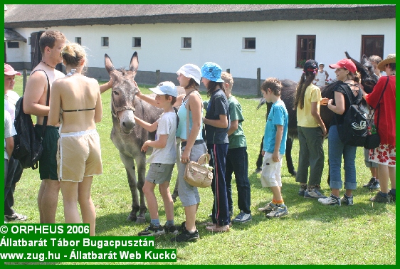 tabor-2006-orpheus-bugac-022.jpg