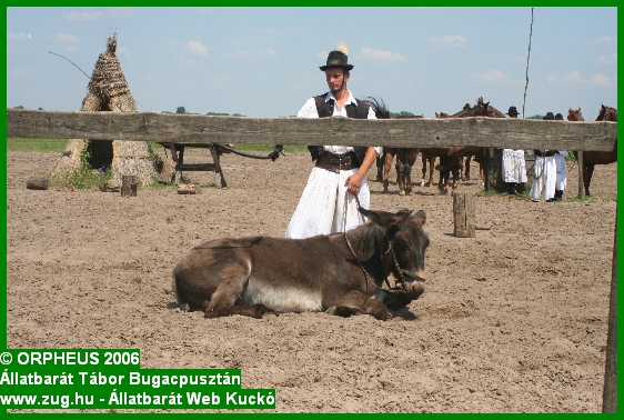 tabor-2006-orpheus-bugac-054.jpg