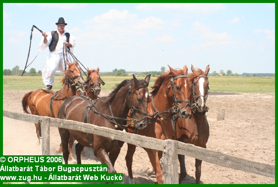 tabor-2006-orpheus-bugac-077.jpg